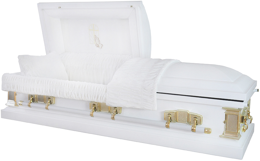 6256 – White Casket 18 ga White Velvet Interior Gold Hardware