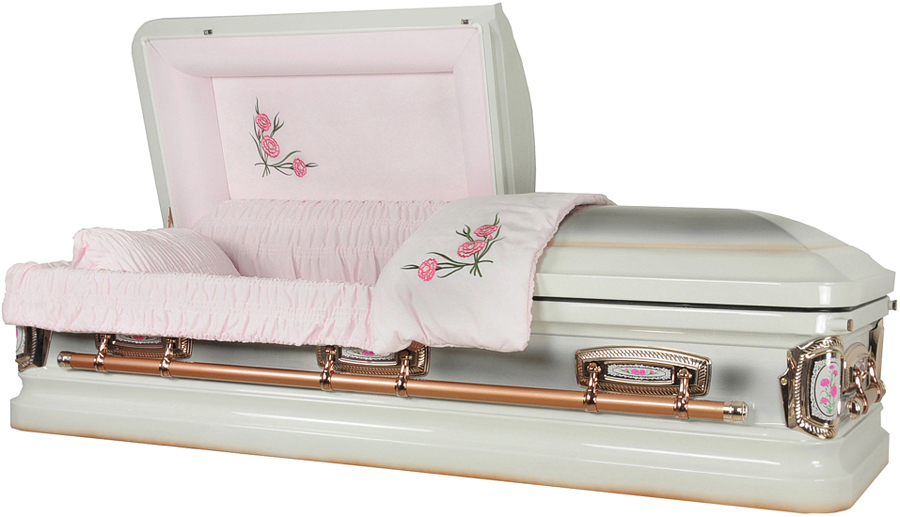 8952ss – Stainless Steel Casket Carnation Casket, Natural Brushed Top